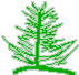 image:(a Tree) 